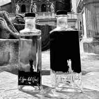 il-gin-del-vicolo-bottiglie-bottles